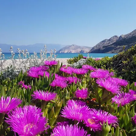 Krleza Apartment Baška