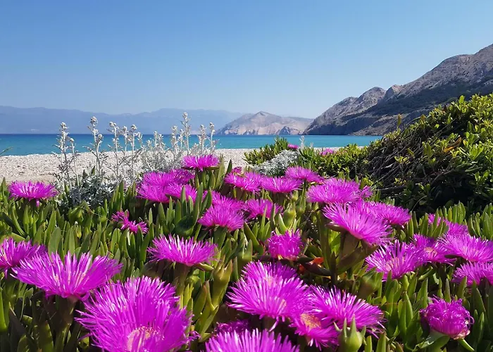 Krleza Appartement Baška